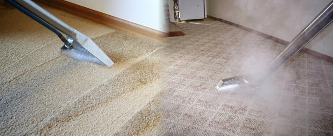 carpet steam cleaners Larne