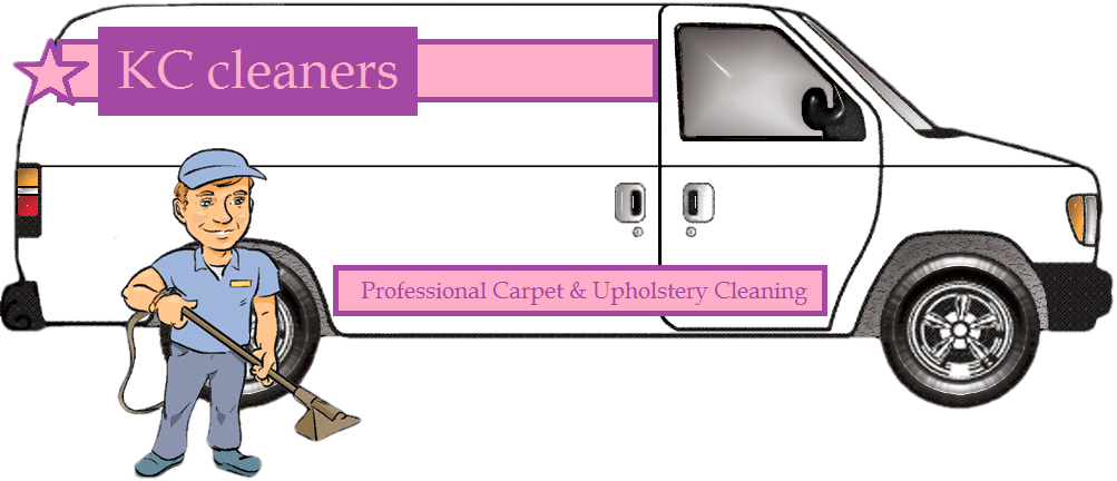 carpet cleaners Larne